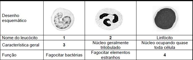 3. O sangue é constituído por plasma e três tipos de elementos celulares. As hemácias realizam (1), os (2) são especializados na defesa do organismo e as plaquetas atuam no processo de (3).