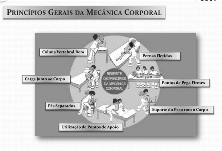 1 Mecânica Corporal Na movimentação dos doentes : o O profissional que tem a parte mais pesada do corpo do utente é que dá as ordens (1,2,3.