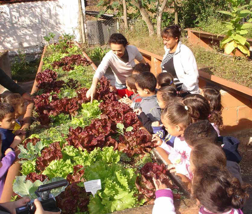 NA ALIMENTAÇÃO Organização