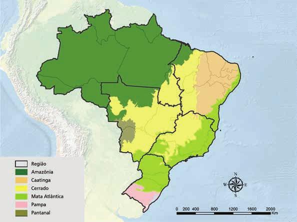 Brasil em Desenvolvimento: Estado, Planejamento e Políticas Públicas Tais contrastes encontrados nos indicadores do estado de conservação da biodiversidade incluídos no estudo são explorados de forma