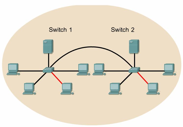 Quando dois switches estão conectados, o domínio de broadcast aumenta. Neste exemplo, um quadro de broadcast é encaminhado para todas as portas conectadas ao Switch 1.