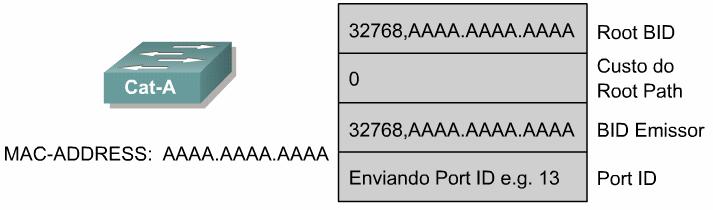 raiz e também a bridge designada. Essas BPDUs contêm o endereço MAC do switch tanto no BID do emissor quanto raiz. Os BIDs são recebidos por todos os switches.