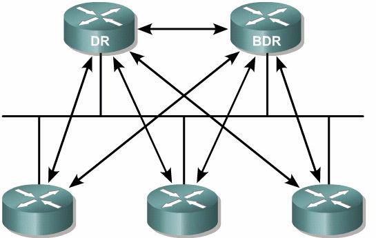 O DR envia informações de link-state para todos os outros roteadores do segmento usando o endereço de multicast 224.0.0.5 para todos os roteadores OSPF.