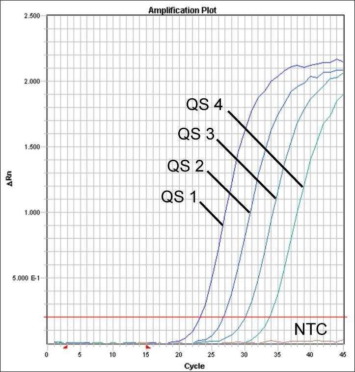 Fig. 27: Detecção dos Padrões de quantificação (EBV LC/RG/TM QS 1-4) através da detecção de um sinal de fluorescência