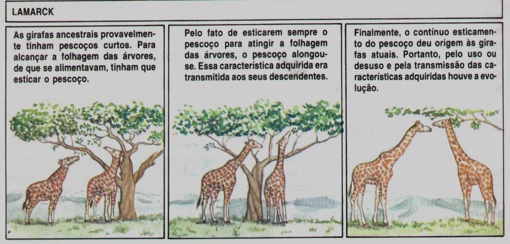 Da transmissão hereditária