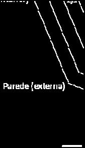 ano), nos edifícios existentes (esquerda) e novos (direita) Fonte: ADENE. A Figura 5.