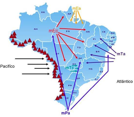 ( ) As chuvas no litoral nordestino se concentram no inverno quando a massa Polar Atlântica, que é fria, alcança o litoral do Nordeste oriental e entra em contato com a massa Tropical Atlântica, que