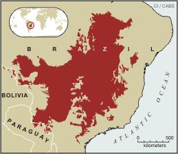 JUSTIFICATIVA Biomas: Caatinga, Cerrado, Mata Atlântica (hotspots).