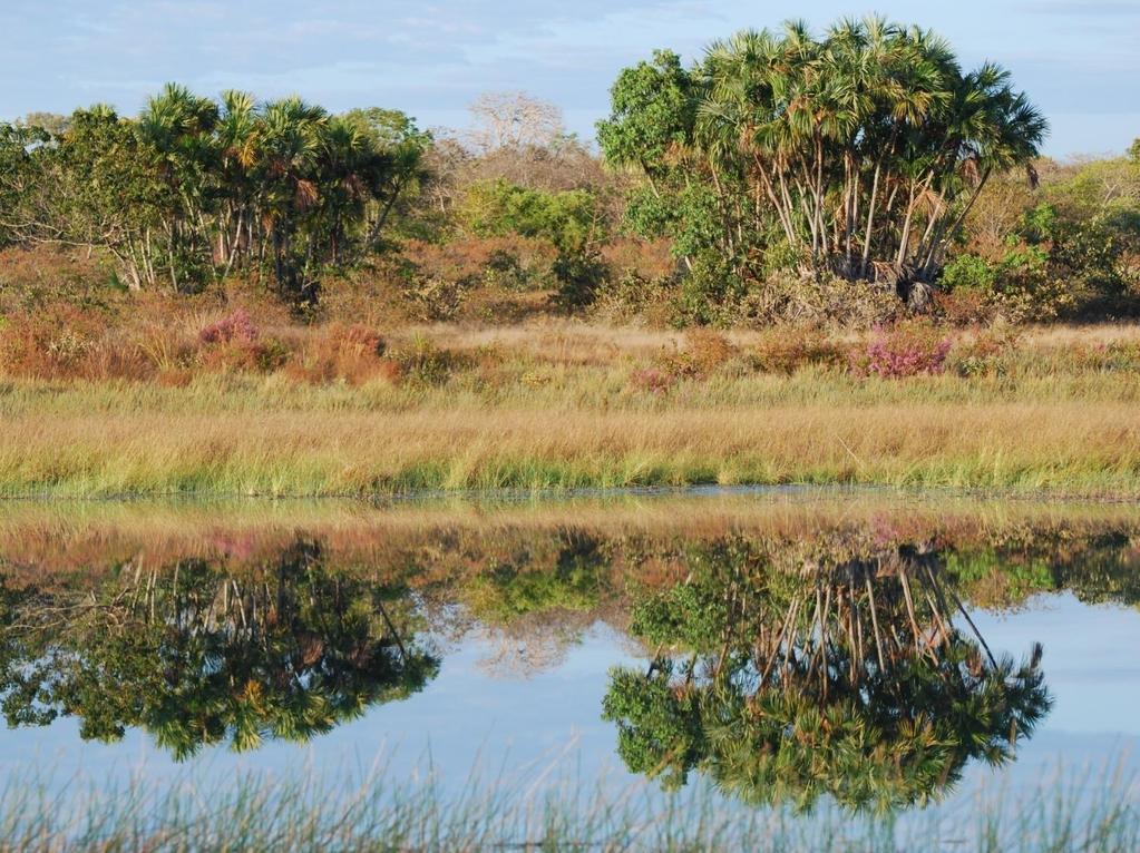 Parque Estadual