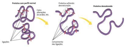 Primária: sequência de aminoácidos