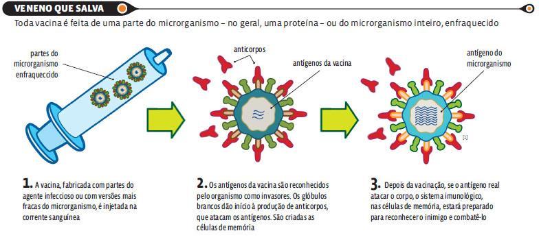 SORO VACINA RECEPTORA: Transporta substâncias