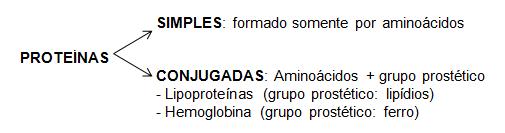 Classificação das proteínas a.