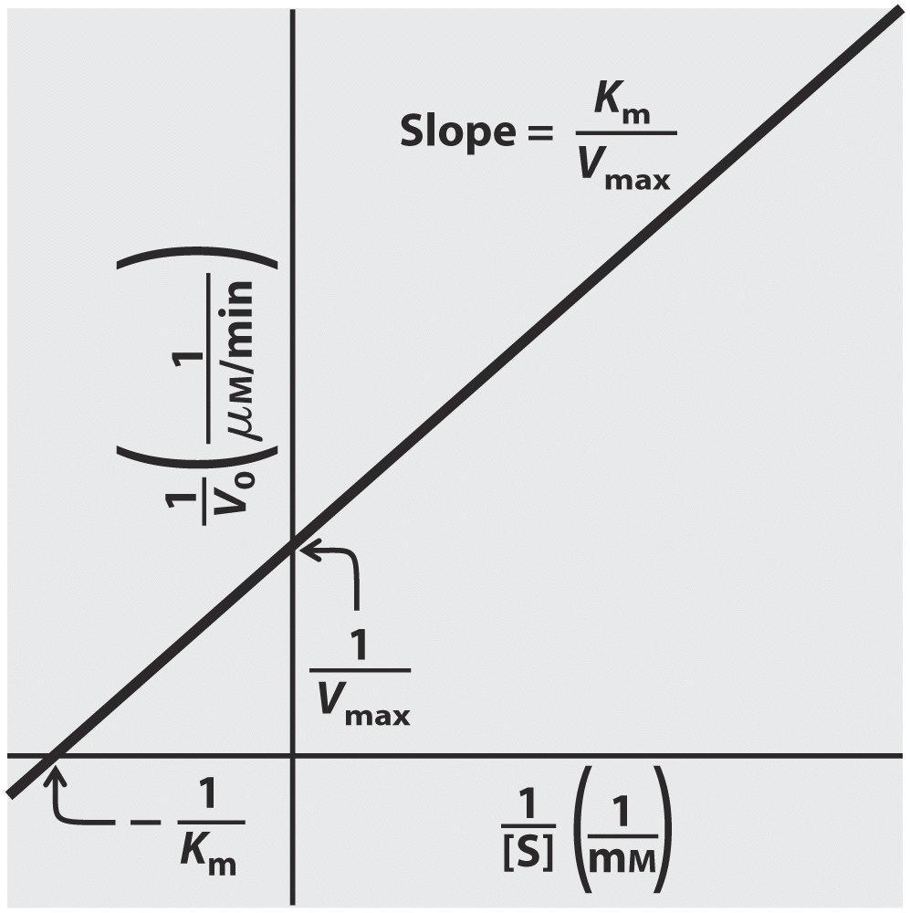 Gráfico de