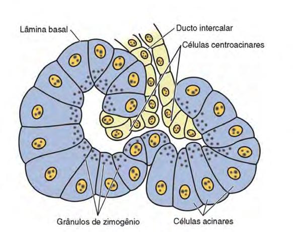 Lâminas n o