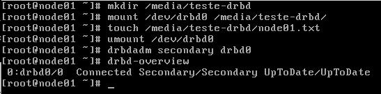 Vamos fazer um teste do DRBD, e vamos validar a integridade do volume drbd0 nos dois nodes. Siga os passos abaixo no node01.