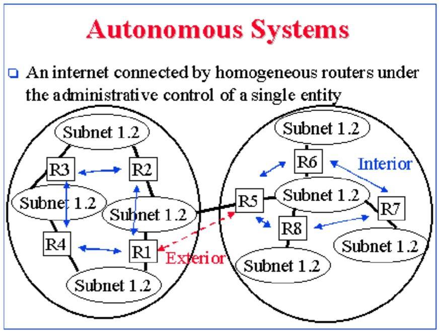 5 escopos o protocolo RIP apresenta maior vantagem, noutros o OSPF se sobressai.