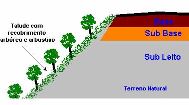 O top soil deverá ser arado e gradeado, de modo a se incorporar ao solo estéril das camadas de fundo.