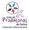 PROGRAMA: Mulheres do Campo PROJETO: Rede de Produtoras da Bahia Estrutura Organizacional Grupos Grupos