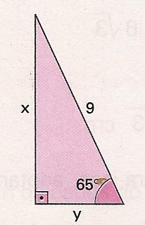10) No triângulo retângulo determine as medidas x