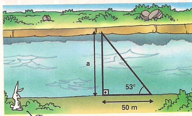 21) O ao topo da encosta? ângulo de elevação do pé de uma árvore ao topo de uma encosta é de 60º.