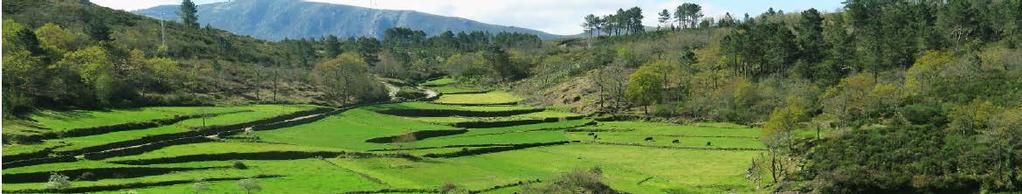 4. Uma Lei de Bases do Património Natural e Biodiversidade A criação de uma Lei de Bases do Património Natural e Biodiversidade permitirá implementar, de forma integrada e articulada, e responder aos