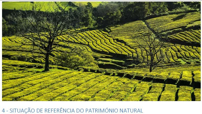 O Património Natural na ENCNB 2025 (e questões em aberto) 4.1 - Espécies e Habitats 4.2 - Ecossistemas 4.3 - Património Geológico 4.4 - Rede Fundamental de Conservação da Natureza 4.