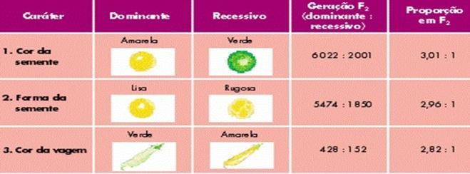 P/ todas as características estudadas Mendel sempre obtinha a