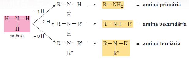 FUNÇÕES NITROGENADAS AMINAS: São compostos orgânicos derivados da amônia (NH 3 ) pela substituição