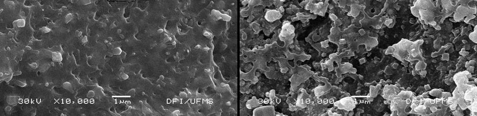 de nanopartículas de prata.