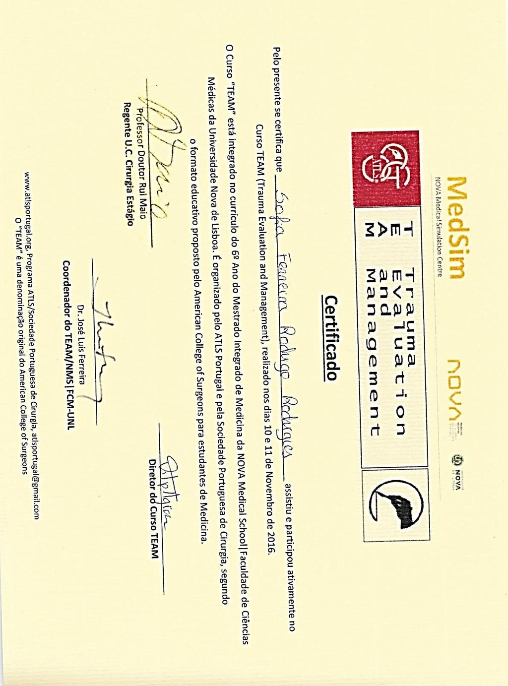 ANEXO VI Certificado de formação TEAM (novembro de 2016)