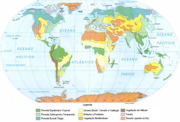 Monção 2 estações bem definidas (determinadas pelos ventos monçônicos) Verão chuvoso, inverno seco+ de 2500 mm/a Tropical densa Sudeste asiático e leste da Ásia.