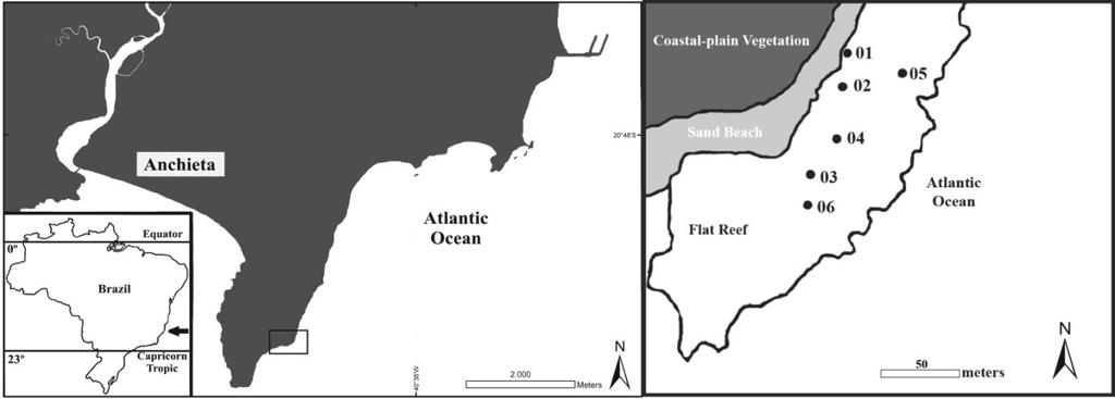 15 A B Figura 1: Localização da área de estudo na costa brasileira e detalhe da Praia dos Castelhanos (A), e localização das poças de maré no recife rochoso (B).