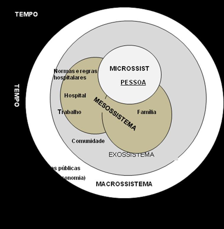 11 Figura 1: Modelo bioecossistêmico baseado em