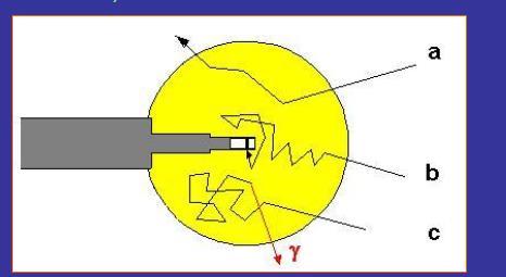 neutrons Bonner spheres of different sizes: polyethylene