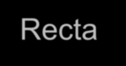 Recta um pouco de matemática (2) Qual é o significado do declive (m) e do valor B na forma explícita da equação da recta?