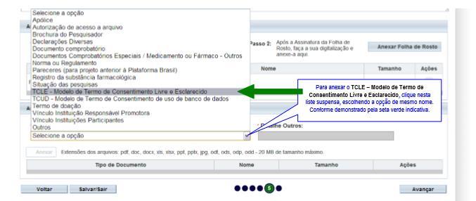 TCLE Modelo de Termo de Consentimento Livre e Esclarecido Este documento deve ser redigido pelo Pesquisador.