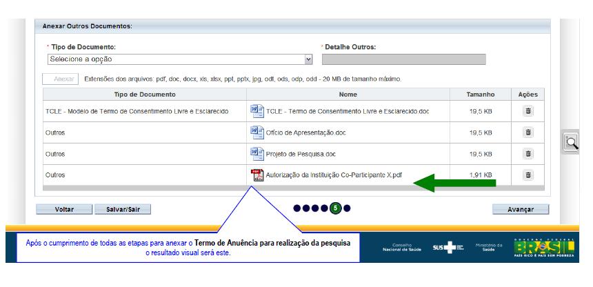 Demais Documentos conforme a pertinência da pesquisa ou a critério do pesquisador: certas pesquisas, devido ao grupo e