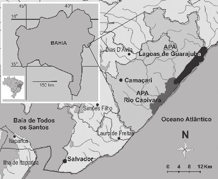 574 Hoehnea 37(3): 571-600, 8 fig., 2010 39. Células 32-40 µm compr.... C. ornatum var. ornatum 39. Células 62-75 µm compr.... C. reniforme var. reniforme 38. Semicélulas oblongas. 40.