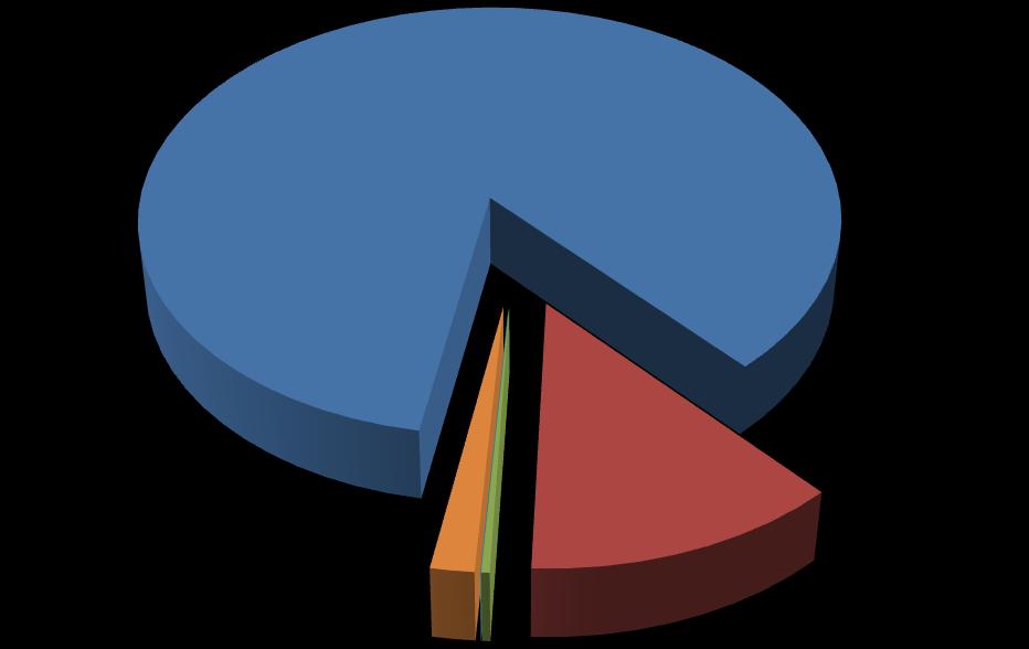 Gráfico 5.1.1 Orçamento executado ( 2011).