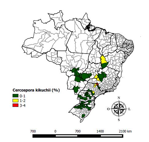 3) Cercospora kikuchii Barreiras= 8,0% Alto Araguaia= 8,0% Catalão= 17,5% Alto Taquari= 1,0% %