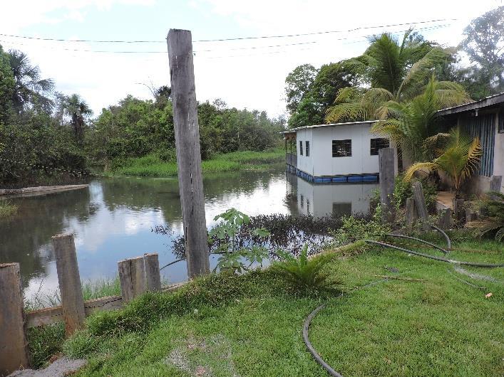 Parque Florestal