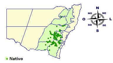 Figura 4: Distribuição geográfica de Eucalyptus goniocalyx em New South Vales, Austrália. 3.3.7 Eucalyptus resinifera Smith.