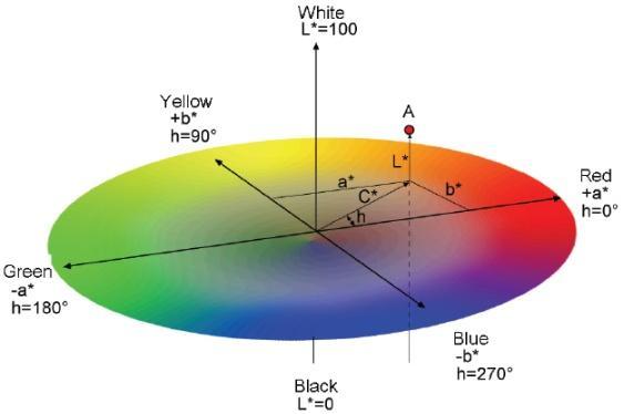 A B Figura 8: (A) Espaço de cor tridimensional do sistema CIE-L*a*b*. Coordenada L*: luminosidade. Coordenadas a* e b*: variáveis cromáticas.