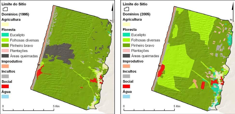 Tabela 16 - Evolução da ocupação florestal para o sítio das Dunas de Mira, Gândara e Gafanhas Ano 1995 Ano 2005 Ocupação Florestal Área Área (ha) (%) (ha) (%) Eucalipto 3.5 0.07% 133.2 2.