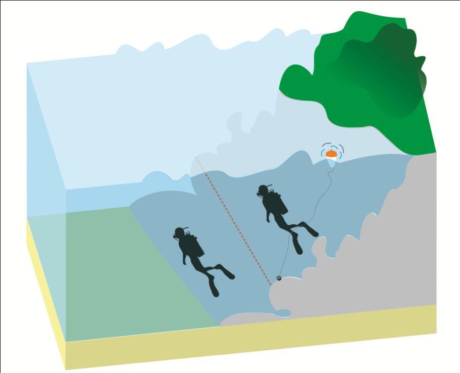 27 Figura 2: Metodologia utilizada: dois mergulhadores em paralelo percorrendo a mesma distância.