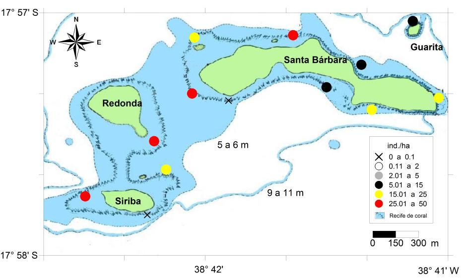 35 Figura 10: Abundância (ind./ha) de Panulirus laevicauda no período diurno no Arquipélago dos Abrolhos em fevereiro de 2010.