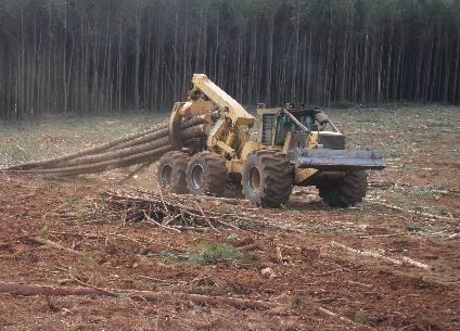 Caracterização das máquinas estudadas O sistema de colheita da madeira utilizado pela empresa foi o de árvores inteiras (full tree), contemplado o feller-buncher, o skidder, o processador e o