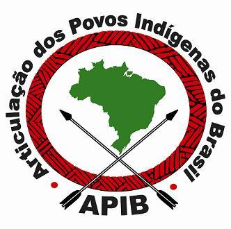 ARTICULAÇÃO DOS POVOS INDÍGENAS DO BRASIL APOINME ARPIN SUDESTE ARPIN SUL ARPIPAN ATY GUASU - COIAB Governo Dilma promove a maior cruzada contra os direitos indígenas com trapalhadas jurídicas e