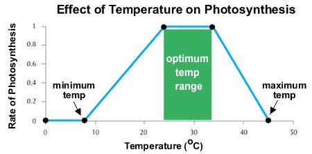 Fotossíntese X Temperatura Simplificação usado na planilha de estimativa de produtividade.