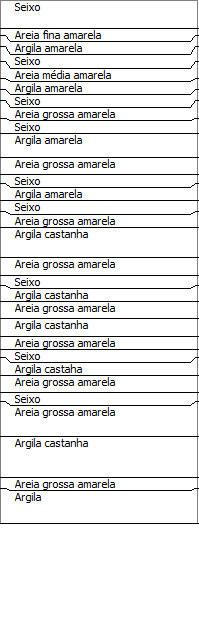 Cliente : Anexordem,Lda Localizacao : Carregueira Escala : 1:1300 CORTE GEOLÓGICO DO FURO Metros Descrição Litologia Observações PERFURAÇÃO:Dos